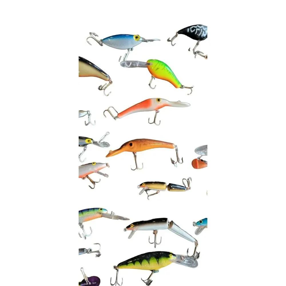 Fishing Lures Lot -‎ Bagley's / Rapala